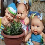 А летом было здорово! Мои пупсики Паола Рейна