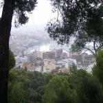 Пять часов в Пальма-де-Майорка