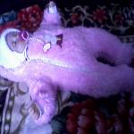 Наш Ванечка