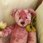 Мой новый мишка тедди