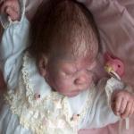 Мои малышки реборн