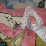 Глаза для реборна