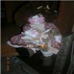 Продана - вальфдорская кукла