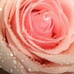 Продам коллекционную куклу Бабси от Роланды Хаймер.ПРОДАНА