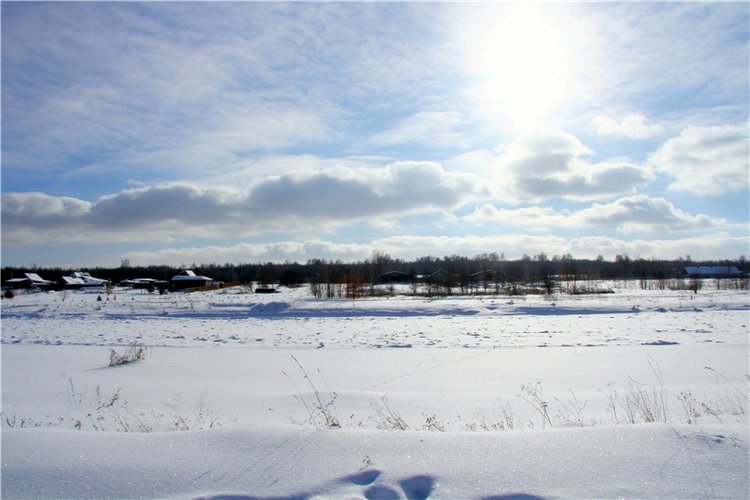 Зимняя прогулка Сони. Уникальная кукла от Сильвии Наттерер (фото 3)