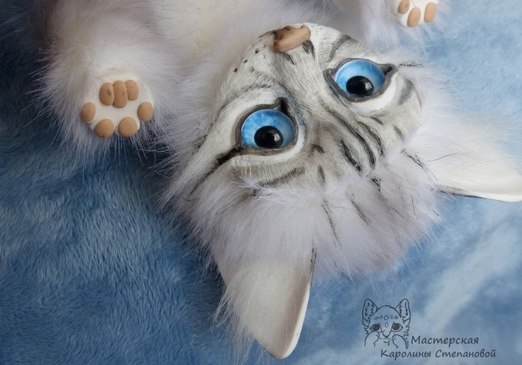 Невские Маскарадные коты серебристого окраса и Совята