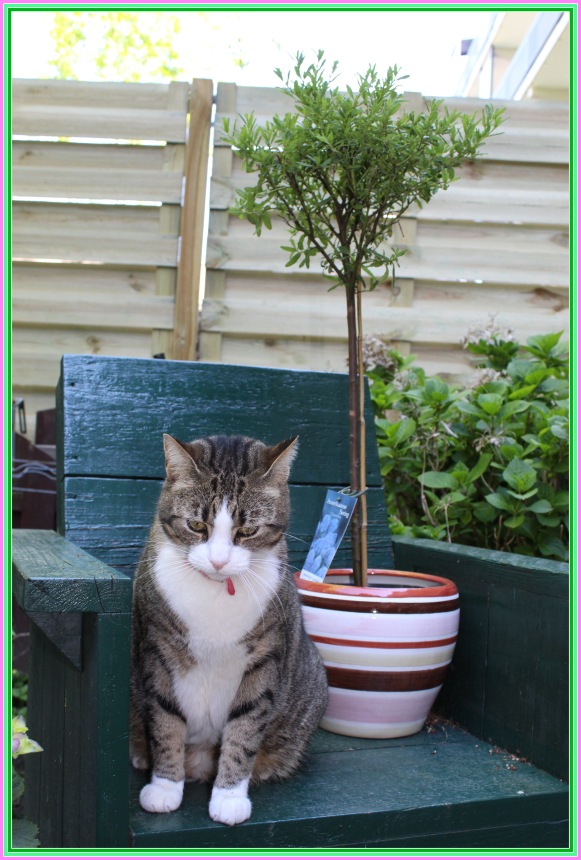 Sonja гуляет в саду. Коллекционная кукла от Helen Kish