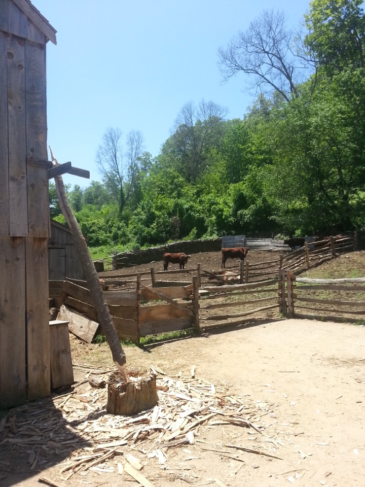 Прокатимся на машине времени? Поселение Старбридж. Новая Англия. 1830 год. Часть вторая