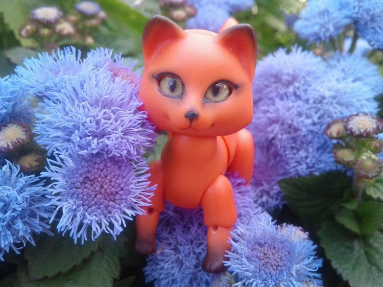 Наше лето, часть 1 — Куклы и тела Obitsu (Обитсу): 1/6