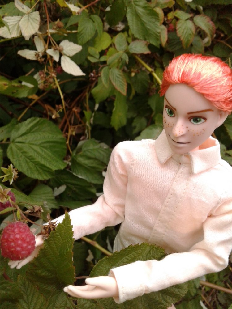 Кто же там, в малиннике — Куклы и тела Obitsu (Обитсу): 1/6 (фото 4)