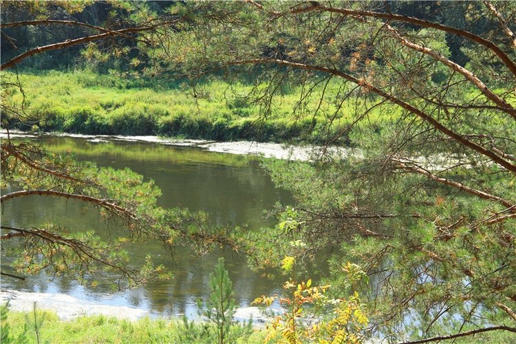 Инопланетянка Нийя. Custom Blythe Doll UFO Go Go Takara (фото 10)