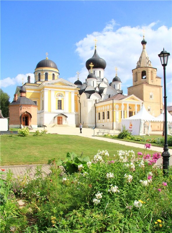 Августовская прогулка в Берново. Zwergnase Mischa