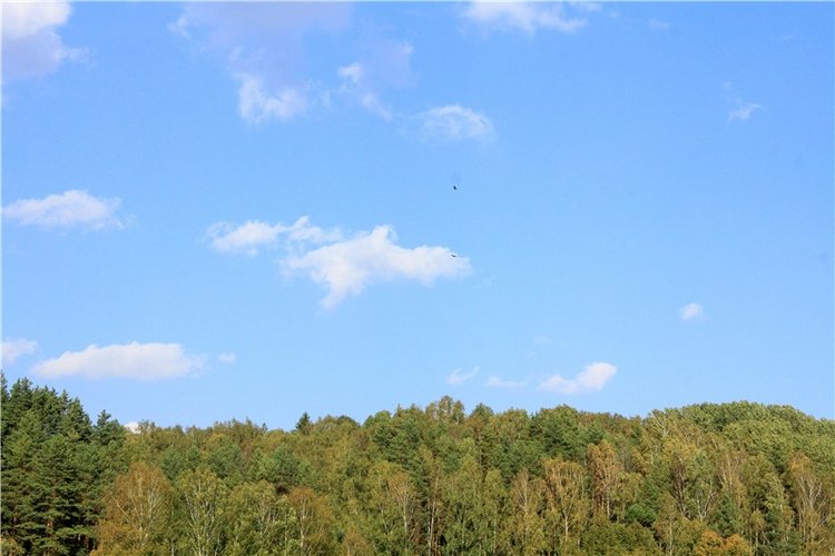 Нийя. Воспоминание об осени, Чукавино, Эко-Лэнд