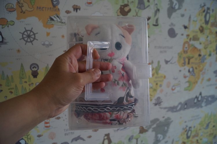 Как Агаша кошечку шила — Другие хобби и увлечения: сад