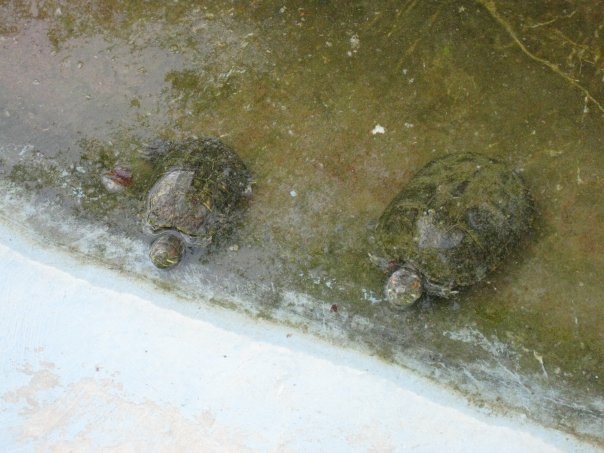 Путешествие на о. Кипр — Туризм и путешествия: фотоотчеты из поездок