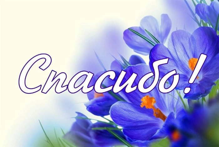 Флэшмоб: День Благодарения (фото 2)