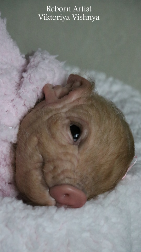 Поросенок Мила... куколка реборн Виктории Вишни