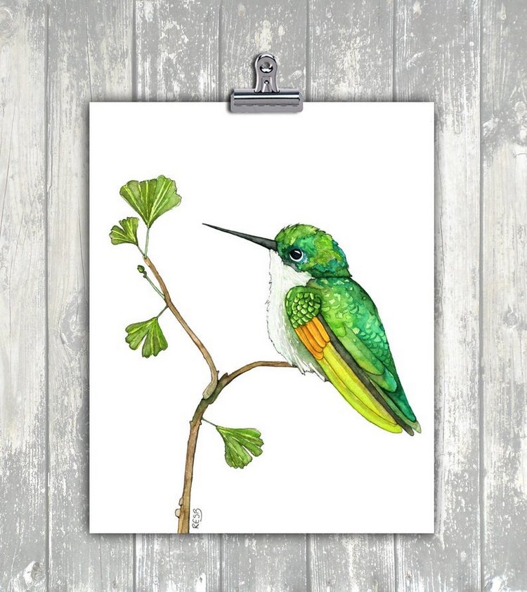 TheColorfulCatStudio - Иллюстрированная фауна by Rachel Byler