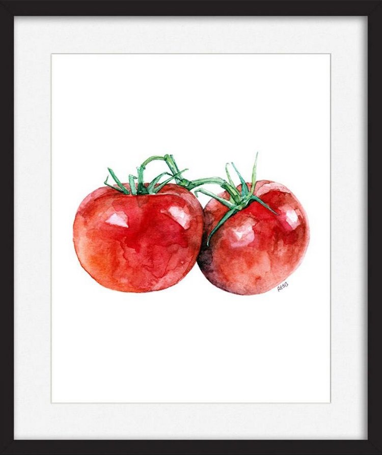 TheColorfulCatStudio - Иллюстрированная флора by Rachel Byler