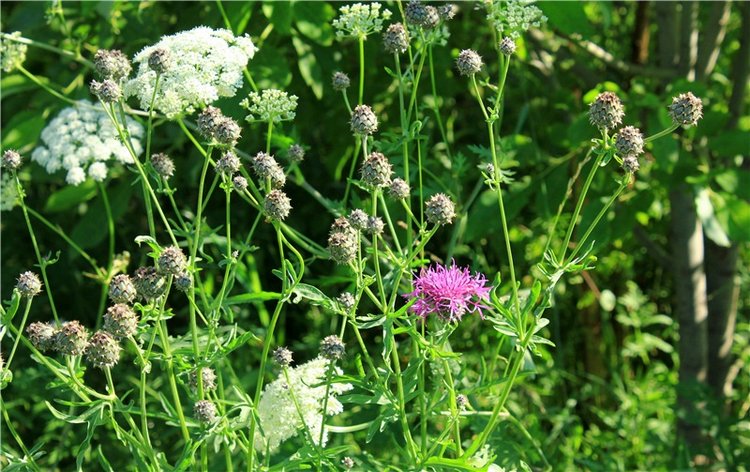 Путешествие Эли на красивый берег реки Волги