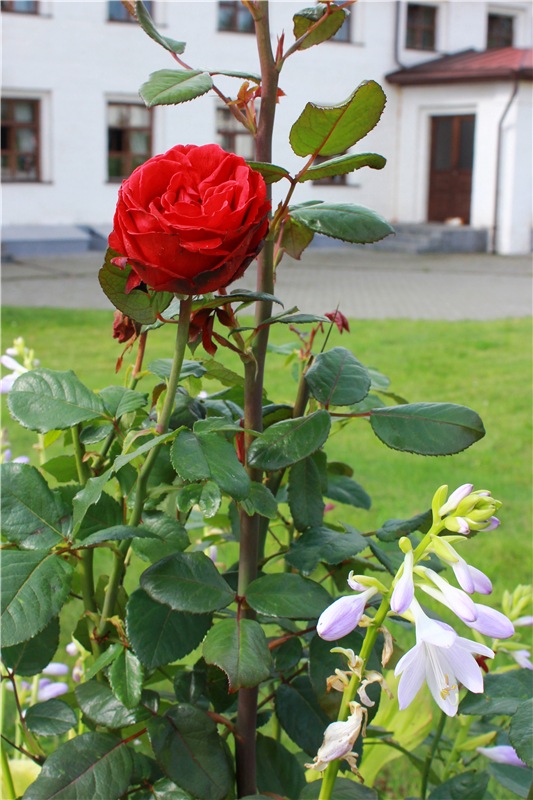 Сентябрьское путешествие в Старицу. Старицкий Свято-Успенский Монастырь