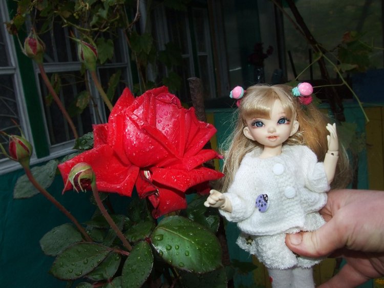 Линка и Иришка - сборщицы винограда