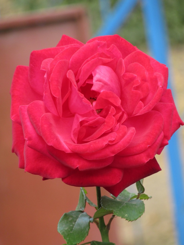 Осенняя пора в Ростове-на-Дону