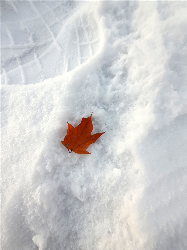 Декабрьская Тверь — Туризм и путешествия: фотоотчеты из поездок