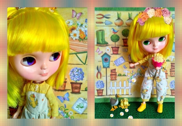 Моя Бегония совсем не цветок