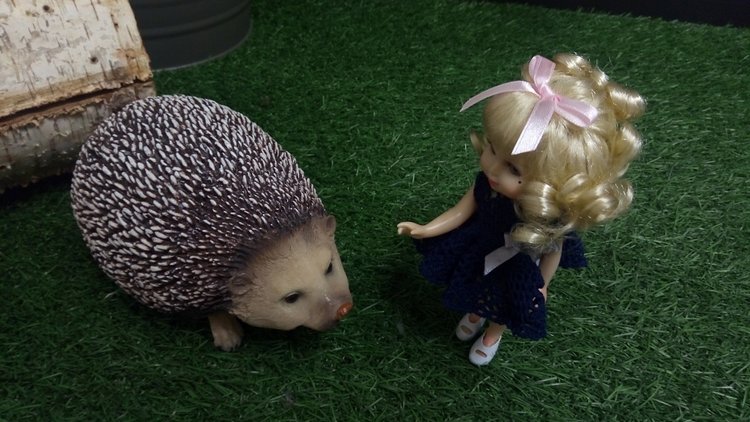 Предновогодний поход в ИКЕА с Adora Belle Calendar Girls или История Золушки