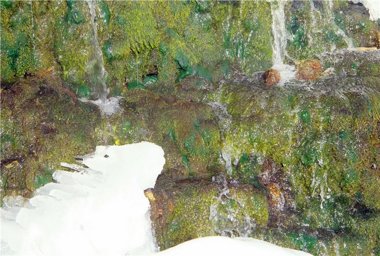 Зимняя прогулка Сони. Уникальная кукла от Сильвии Наттерер