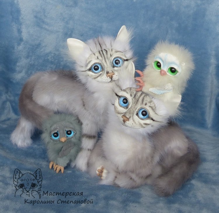 Невские Маскарадные коты серебристого окраса и Совята (фото 4)