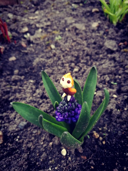 Добро пожаловать в удивительный мир Ванды