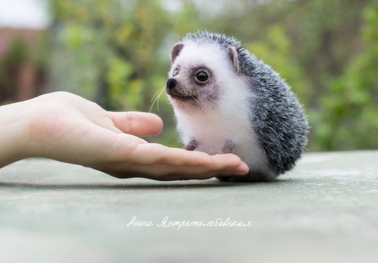 Ёжинька — Валяные игрушки из шерсти: сухое валяние