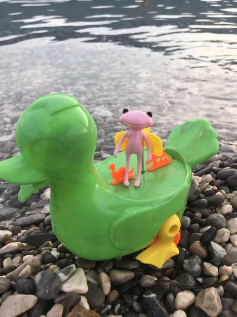 Таша Wonderfrog в Черногории