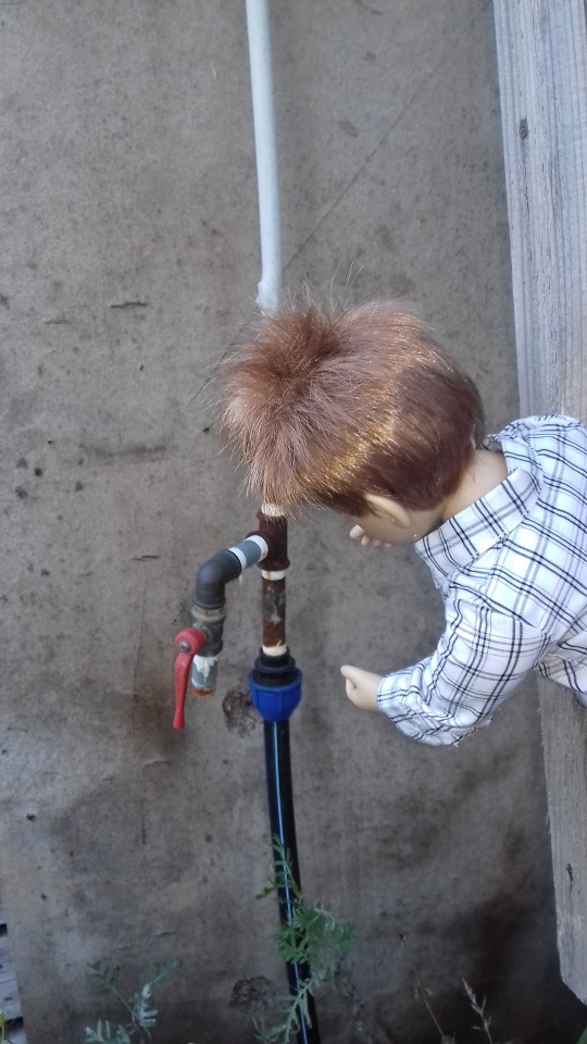 Сельская Санта-Барбара (Кирпич)