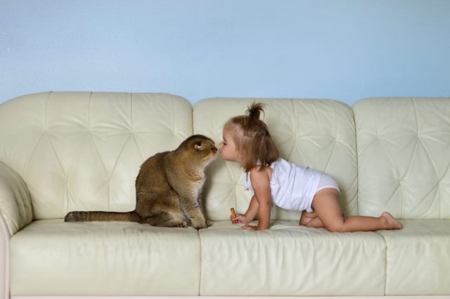 Кошачье, внучачье, одним словом мимимишное (фото 3)
