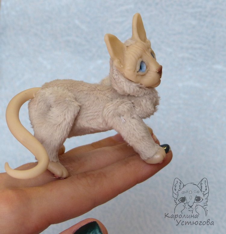 Два миниатюрных котика Сфинкса (фото 5)