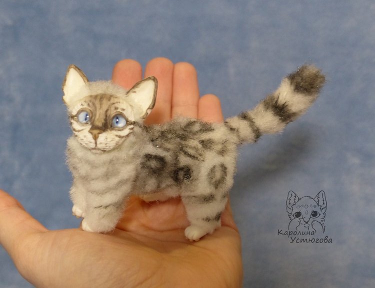 Бенгальская кошка, серебристая