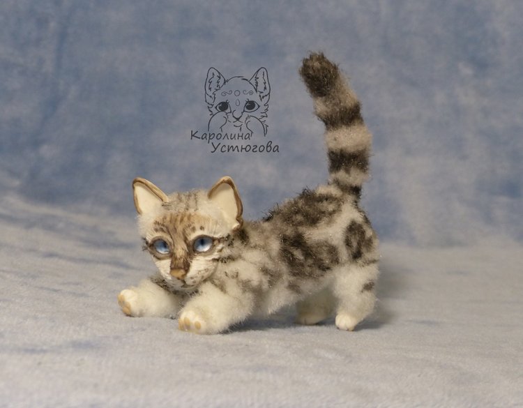 Бенгальская кошка, серебристая (фото 10)