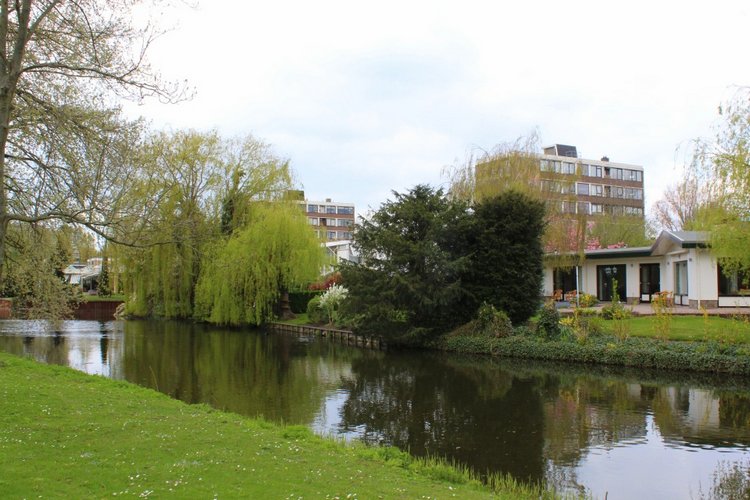 Цветущая Сакура. Прогулка по парку с Алисой. Весенние зарисовки