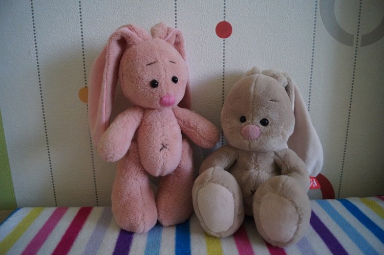 Как Агаша зайку шила — Другие хобби и увлечения: сад