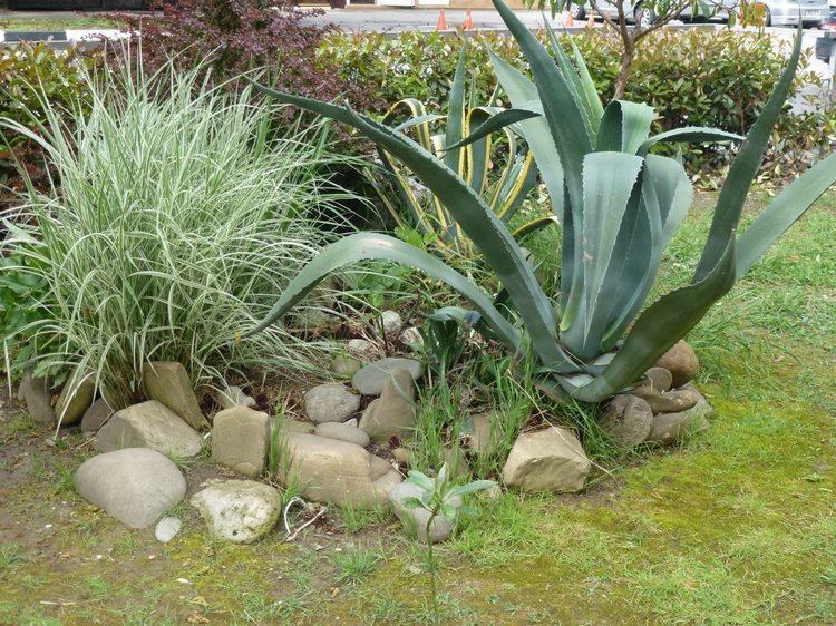 Сочи-Адлер: Южное Взморье - виртуальное путешествие по территории санатория