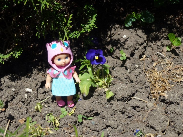 Сочи-Адлер: Южное Взморье - Мои любимые куколки на отдыхе