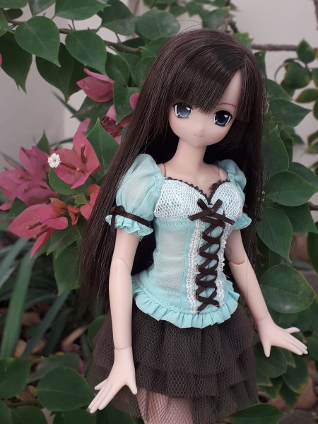 Мои Азоночки — Аниме куклы (MJD/Винил): Imomo