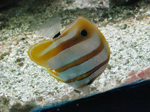 Путешествие на о. Кипр — Туризм и путешествия: фотоотчеты из поездок