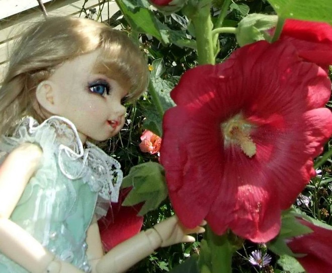 Кролики превращаются... превращаются... А котик улыбается)