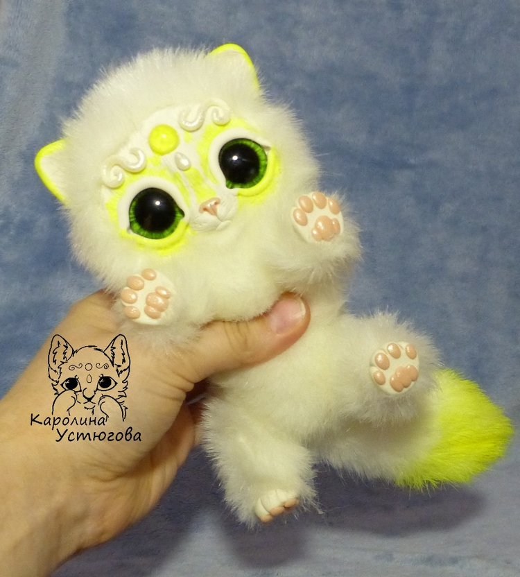 Королевские волшебные коты, породы: Мирис. В кадре и за кадром. Процесс