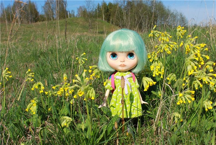 Долгая дорога к Волге. Custom Blythe Doll UFO Go Go Takara