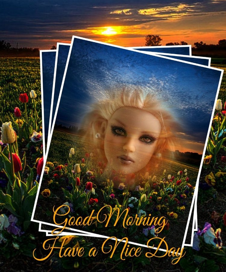 Мои Тоннерки. Фотозарисовки